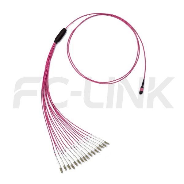 mpo-16-fibers-om4-mm-harness-cable-gallery-5 MPO Harness Cable, MPO-16 PC/APC(Female/Male) to LC PC/APC, 16 Fibers, Multimode(OM4), 0.35dB Max, Type B, Aqua/Violet