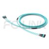 mpo-24-fibers-base-8-trunk-cable-main-1 MPO-24 Trunk Cable - 24 Fiber Main Trunk Cord, Base-8, Supports OS2/OM3/OM4/OM5, for 400G/800G Backbone, PC/APC Polish (Female/Male), Type A/B