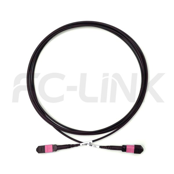 mpo-24-fibers-om4-mm-armored-jumper-gallery-5 Armored MPO-24 Fiber Optic Cable - MPO to MPO OM4 Multimode, 24-Fiber Armored Jumper Cord, for 10G/25G Backbone, PC/APC Polish (Female/Male), Type A/B/C/D/E, Aqua/Violet