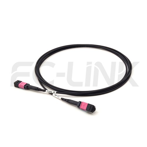 mpo-24-fibers-om4-mm-armored-jumper-main-1 Armored MPO-24 Fiber Optic Cable - MPO to MPO OM4 Multimode, 24-Fiber Armored Jumper Cord, for 10G/25G Backbone, PC/APC Polish (Female/Male), Type A/B/C/D/E, Aqua/Violet