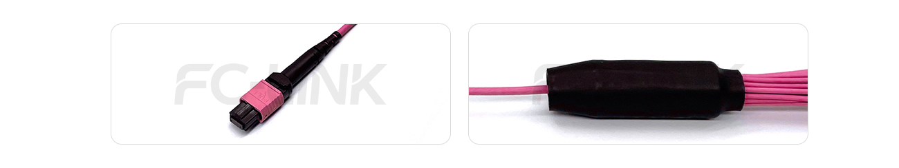 MPO Harness Cable, MPO-24 PC/APC(Female/Male) to LC PC/APC, 24 Fibers, Multimode(OM4), 0.35dB Max, Type A/B/C/U, Aqua/Violet
