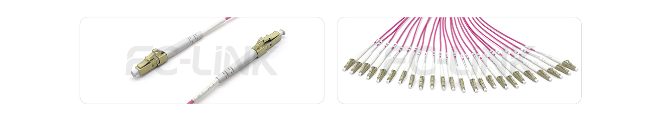 MPO Harness Cable, MPO-24 PC/APC(Female/Male) to LC PC/APC, 24 Fibers, Multimode(OM4), 0.35dB Max, Type A/B/C/U, Aqua/Violet