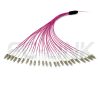 mpo-24-fibers-om4-mm-harness-cable-gallery-3 MPO Harness Cable, MPO-24 PC/APC(Female/Male) to LC PC/APC, 24 Fibers, Multimode(OM4), 0.35dB Max, Type A/B/C/U, Aqua/Violet
