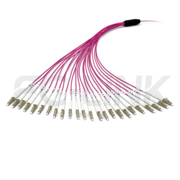 mpo-24-fibers-om4-mm-harness-cable-gallery-3 MPO Harness Cable, MPO-24 PC/APC(Female/Male) to LC PC/APC, 24 Fibers, Multimode(OM4), 0.35dB Max, Type A/B/C/U, Aqua/Violet
