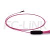 mpo-24-fibers-om4-mm-harness-cable-gallery-4 MPO Harness Cable, MPO-24 PC/APC(Female/Male) to LC PC/APC, 24 Fibers, Multimode(OM4), 0.35dB Max, Type A/B/C/U, Aqua/Violet