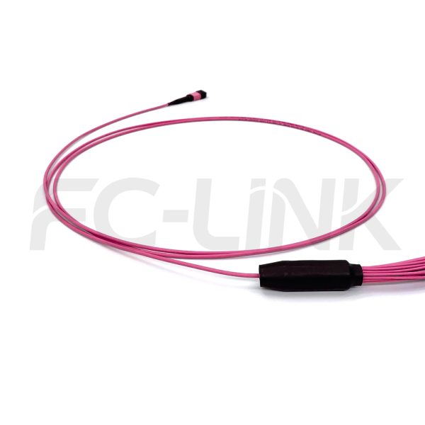 mpo-24-fibers-om4-mm-harness-cable-gallery-4 MPO Harness Cable, MPO-24 PC/APC(Female/Male) to LC PC/APC, 24 Fibers, Multimode(OM4), 0.35dB Max, Type A/B/C/U, Aqua/Violet