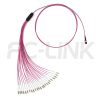 mpo-24-fibers-om4-mm-harness-cable-gallery-5 MPO Harness Cable, MPO-24 PC/APC(Female/Male) to LC PC/APC, 24 Fibers, Multimode(OM4), 0.35dB Max, Type A/B/C/U, Aqua/Violet