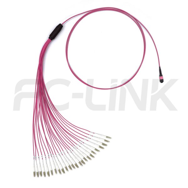 mpo-24-fibers-om4-mm-harness-cable-gallery-5 MPO Harness Cable, MPO-24 PC/APC(Female/Male) to LC PC/APC, 24 Fibers, Multimode(OM4), 0.35dB Max, Type A/B/C/U, Aqua/Violet