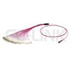 mpo-24-fibers-om4-mm-harness-cable-main-1 MPO Harness Cable, MPO-24 PC/APC(Female/Male) to LC PC/APC, 24 Fibers, Multimode(OM4), 0.35dB Max, Type A/B/C/U, Aqua/Violet