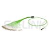 mpo-24-fibers-om5-mm-harness-cable-main-1 MPO Harness Cable, MPO-24 PC/APC(Female/Male) to LC PC/APC, 24 Fibers, Multimode(OM5), 0.35dB Max, Type A/B/C/U, Lime Green