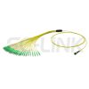 MPO Harness Cable, MPO-24 APC(Female/Male) to LC APC, 24 Fibers, Singlemode, 0.35dB Max, Type A/B/C/U, Yellow