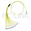 MPO Harness Cable, MPO-24 APC(Female/Male) to LC APC, 24 Fibers, Singlemode, 0.35dB Max, Type A/B/C/U, Yellow