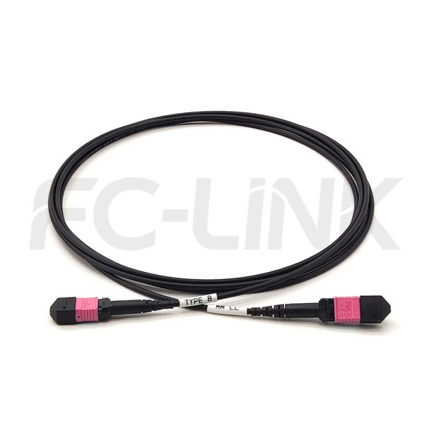 mpo-8-fibers-om4-mm-armored-jumper-gallery-4 Armored MPO-8 Fiber Optic Cable - MPO to MPO OM4 Multimode, 8-Fiber Armored Jumper Cord, for 40G/100G/200G/400G Extended Reach, PC/APC Polish (Female/Male), Type A/B, Aqua/Violet