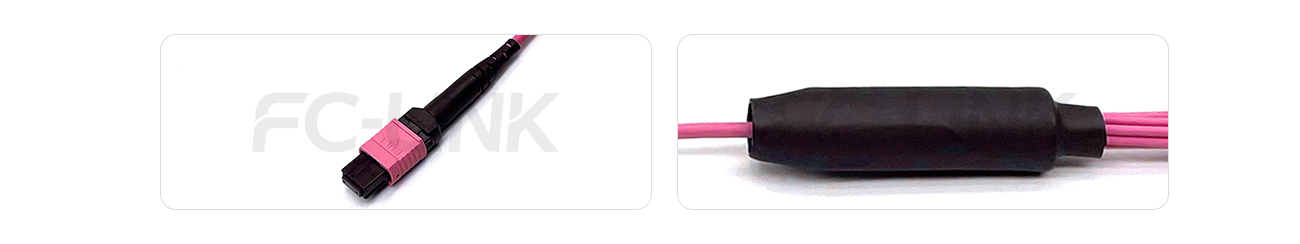 MPO Harness Cable, MPO-8 PC/APC(Female/Male) to LC PC/APC, 8 Fibers, Multimode(OM4), 0.35dB Max, Type A/AF/B/U, Aqua/Violet