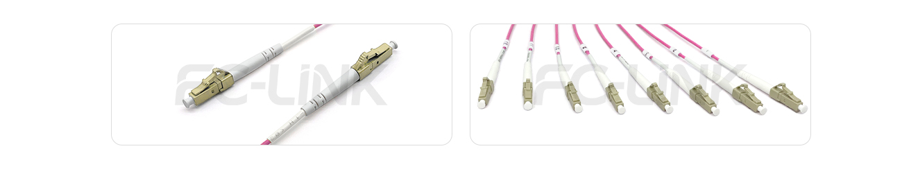 MPO Harness Cable, MPO-8 PC/APC(Female/Male) to LC PC/APC, 8 Fibers, Multimode(OM4), 0.35dB Max, Type A/AF/B/U, Aqua/Violet
