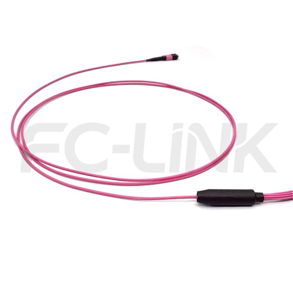 MPO Harness Cable, MPO-8 PC/APC(Female/Male) to LC PC/APC, 8 Fibers, Multimode(OM4), 0.35dB Max, Type A/AF/B/U, Aqua/Violet