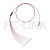 MPO Harness Cable, MPO-8 PC/APC(Female/Male) to LC PC/APC, 8 Fibers, Multimode(OM4), 0.35dB Max, Type A/AF/B/U, Aqua/Violet