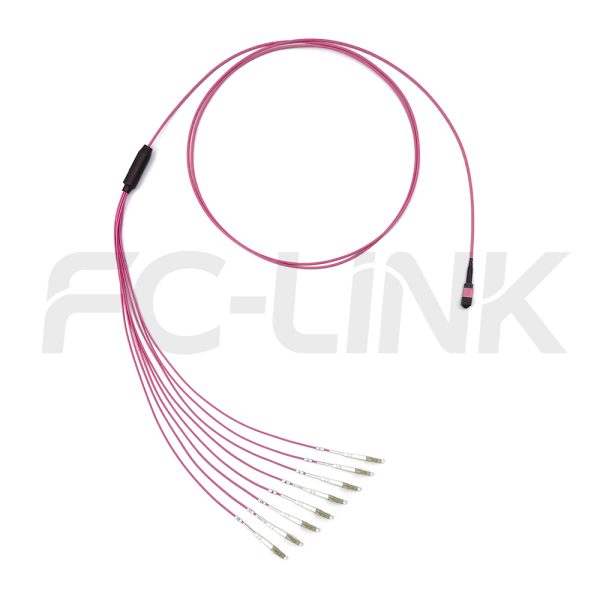 MPO Harness Cable, MPO-8 PC/APC(Female/Male) to LC PC/APC, 8 Fibers, Multimode(OM4), 0.35dB Max, Type A/AF/B/U, Aqua/Violet