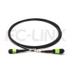 mpo-8-fibers-om5-mm-armored-jumper-gallery-4 Armored MPO-8 Fiber Optic Cable - MPO to MPO OM5 Multimode, 8-Fiber Armored Jumper Cord, for 400G SR4.2 Extended Reach, PC/APC Polish (Female/Male), Type A/B, Lime Green