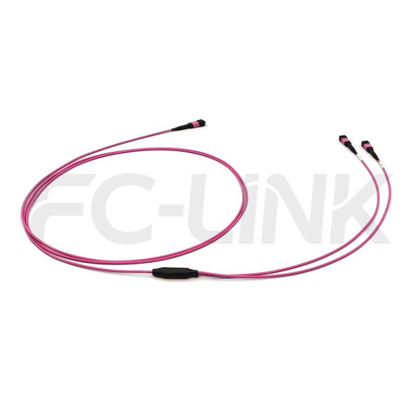 mpo12-2-mpo6-om4-mm-breakout-cable-gallery-5 MPO Breakout Cable, MPO-12 PC/APC(Female/Male) to 2 x MPO-6 PC/APC(Female/Male), 12 Fibers, Multimode(OM4),0.35dB Max, Aqua/Violet