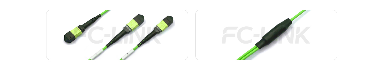 MPO Breakout Cable, MPO-16 to 2×MPO-8, 16 Fiber, OM5, 0.35dB Max