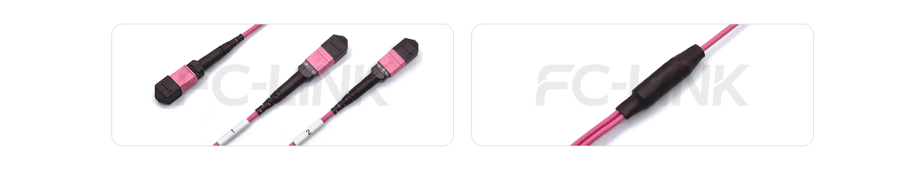 MPO Breakout Cable, MPO-24 PC/APC(Female/Male) to 2 x MPO-12 PC/APC(Female/Male), 24 Fibers, Multimode(OM4),0.35dB Max, Aqua/Violet
