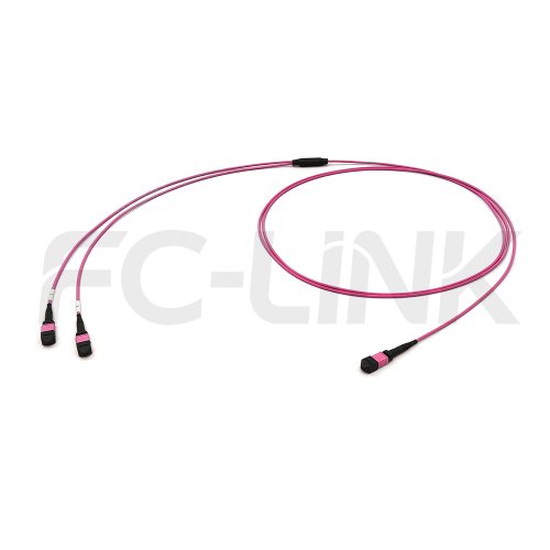 mpo24-2-mpo12-om4-mm-breakout-cable-main-1 MPO Breakout Cable, MPO-24 PC/APC(Female/Male) to 2 x MPO-12 PC/APC(Female/Male), 24 Fibers, Multimode(OM4),0.35dB Max, Aqua/Violet