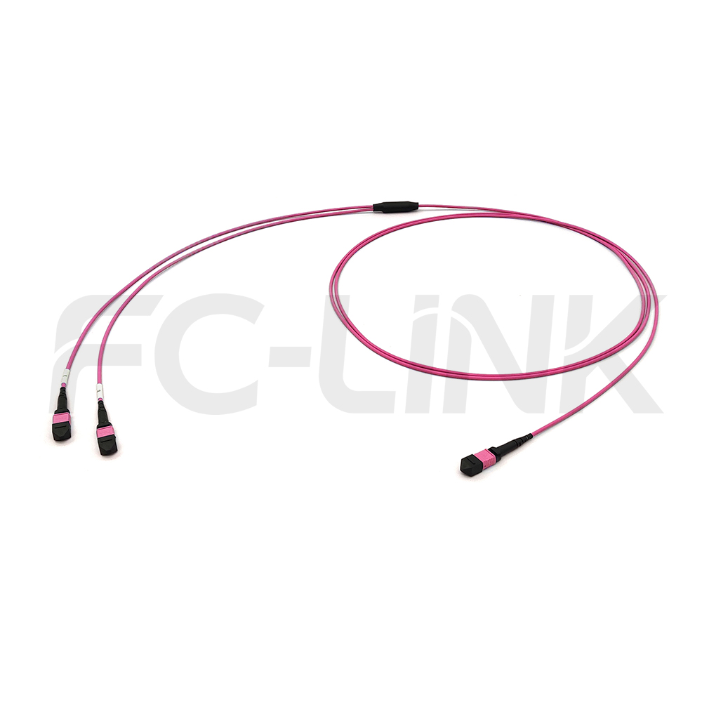 mpo24-2-mpo12-om4-mm-breakout-cable-main-1 MPO Breakout Cable, MPO-24 PC/APC(Female/Male) to 2 x MPO-12 PC/APC(Female/Male), 24 Fibers, Multimode(OM4),0.35dB Max, Aqua/Violet