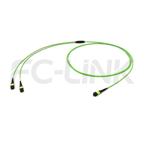 mpo24-2-mpo12-om5-mm-breakout-cable-main-1 MPO Breakout Cable, MPO-24 PC/APC(Female/Male) to 2 x MPO-12 PC/APC(Female/Male), 24 Fibers, Multimode(OM5),0.35dB Max, Lime Green
