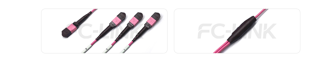 MPO Breakout Cable, MPO-24 PC/APC(Female/Male) to 3 x MPO-8 PC/APC(Female/Male), 24 Fibers, Multimode(OM4),0.35dB Max, Aqua/Violet