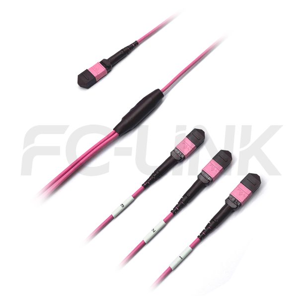 mpo24-3-mpo8-om4-mm-breakout-cable-gallery-1 MPO Breakout Cable, MPO-24 PC/APC(Female/Male) to 3 x MPO-8 PC/APC(Female/Male), 24 Fibers, Multimode(OM4),0.35dB Max, Aqua/Violet