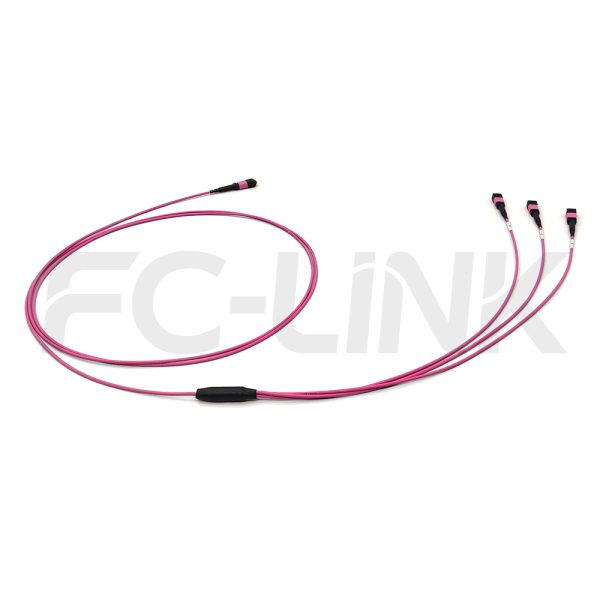 mpo24-3-mpo8-om4-mm-breakout-cable-gallery-5 MPO Breakout Cable, MPO-24 PC/APC(Female/Male) to 3 x MPO-8 PC/APC(Female/Male), 24 Fibers, Multimode(OM4),0.35dB Max, Aqua/Violet