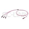 mpo24-3-mpo8-om4-mm-breakout-cable-main-1 MPO Breakout Cable, MPO-24 PC/APC(Female/Male) to 3 x MPO-8 PC/APC(Female/Male), 24 Fibers, Multimode(OM4),0.35dB Max, Aqua/Violet