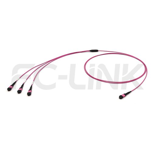 mpo24-3-mpo8-om4-mm-breakout-cable-main-1 MPO Breakout Cable, MPO-24 PC/APC(Female/Male) to 3 x MPO-8 PC/APC(Female/Male), 24 Fibers, Multimode(OM4),0.35dB Max, Aqua/Violet