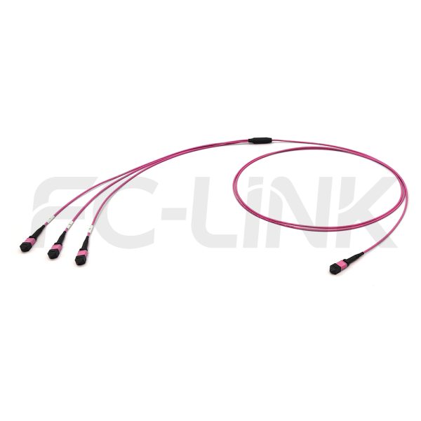 mpo24-3-mpo8-om4-mm-breakout-cable-main-1 MPO Breakout Cable, MPO-24 PC/APC(Female/Male) to 3 x MPO-8 PC/APC(Female/Male), 24 Fibers, Multimode(OM4),0.35dB Max, Aqua/Violet