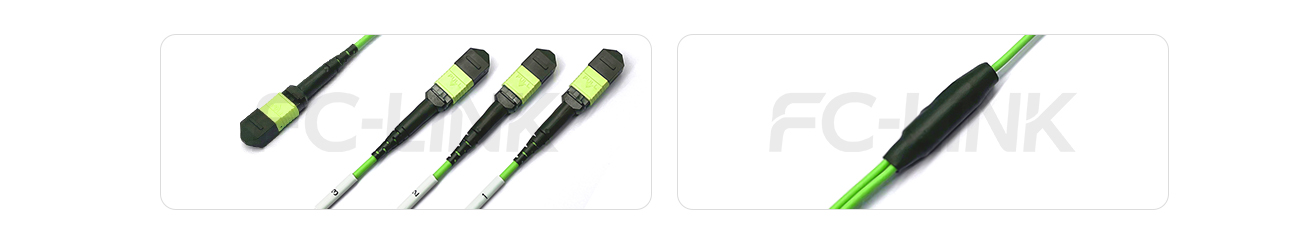 MPO Breakout Cable, MPO-24 PC/APC(Female/Male) to 3 x MPO-8 PC/APC(Female/Male), 24 Fibers, Multimode(OM5),0.35dB Max, Lime Green