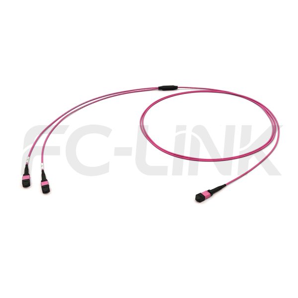 mpo8-2-mpo4-om4-mm-breakout-cable-main-1 MPO Breakout Cable, MPO-8 PC/APC(Female/Male) to 2 x MPO-4 PC/APC(Female/Male), 8 Fibers, Multimode(OM4),0.35dB Max, Aqua/Violet