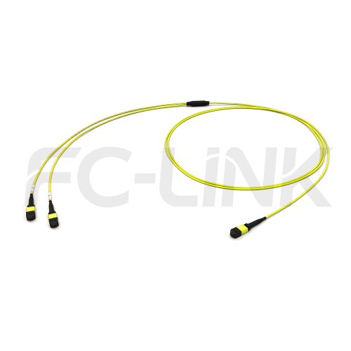 组1 MPO Breakout Cable, MPO-8 APC(Female/Male) to 2 x MPO-4 APC(Female/Male), 8 Fibers, Singlemode(OS2),0.35dB Max, Yellow