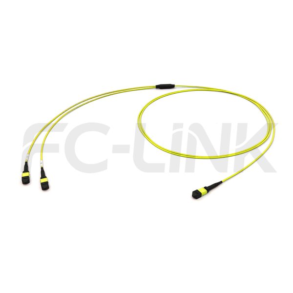 组1 MPO Breakout Cable, MPO-8 APC(Female/Male) to 2 x MPO-4 APC(Female/Male), 8 Fibers, Singlemode(OS2),0.35dB Max, Yellow