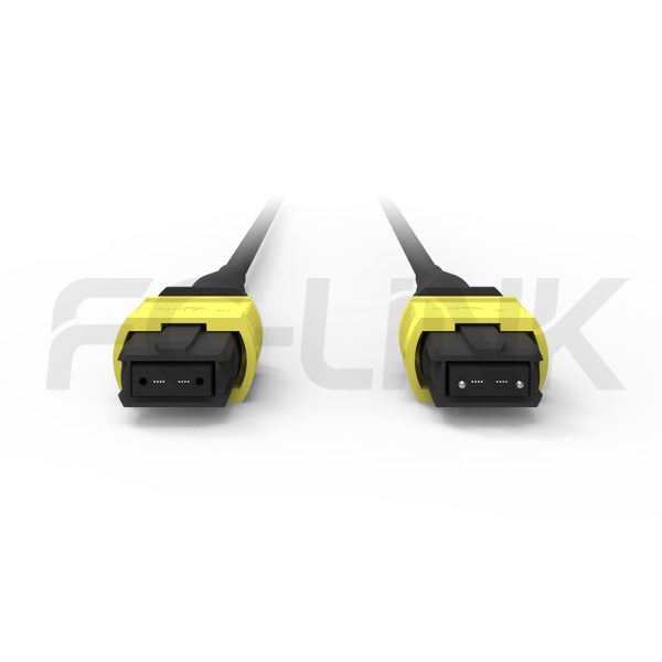 组2 Armored MPO-8 Fiber Optic Cable - MPO to MPO OS2 Singlemode, 8-Fiber Armored Jumper Cord, for 800G OSFP, 400G OSFP, 100G QSFP28, APC Polish (Female/Male), Type A/B, Yellow