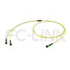 组2 MPO Breakout Cable, MPO-8 APC(Female/Male) to 2 x MPO-4 APC(Female/Male), 8 Fibers, Singlemode(OS2),0.35dB Max, Yellow