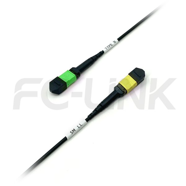 组3 Armored MPO-8 Fiber Optic Cable - MPO to MPO OS2 Singlemode, 8-Fiber Armored Jumper Cord, for 800G OSFP, 400G OSFP, 100G QSFP28, APC Polish (Female/Male), Type A/B, Yellow