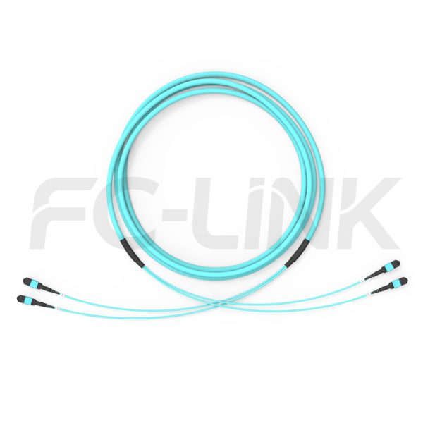组5 MPO-24 Trunk Cable - 24 Fiber Main Trunk Cord, Base-12, Supports OS2/OM3/OM4/OM5, for 400G/800G Backbone, PC/APC Polish (Female/Male), Type A/B/C
