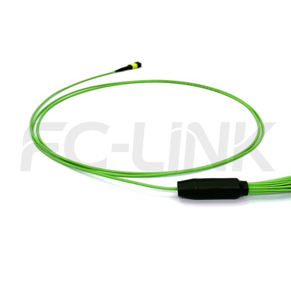 组5 MPO Harness Cable, MPO-24 PC/APC(Female/Male) to LC PC/APC, 24 Fibers, Multimode(OM5), 0.35dB Max, Type A/B/C/U, Lime Green