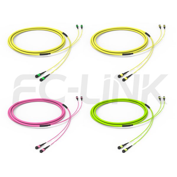 组6 MPO-24 Trunk Cable - 24 Fiber Main Trunk Cord, Base-12, Supports OS2/OM3/OM4/OM5, for 400G/800G Backbone, PC/APC Polish (Female/Male), Type A/B/C