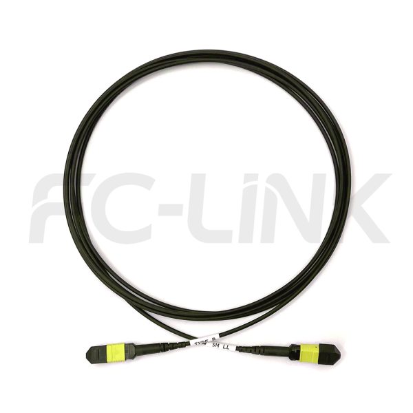 组6 Armored MPO-8 Fiber Optic Cable - MPO to MPO OS2 Singlemode, 8-Fiber Armored Jumper Cord, for 800G OSFP, 400G OSFP, 100G QSFP28, APC Polish (Female/Male), Type A/B, Yellow